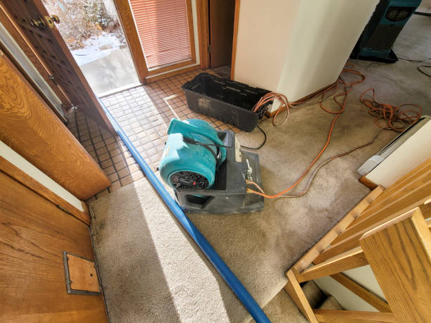 Best Fire Damage Restoration  in Wills Point, TX